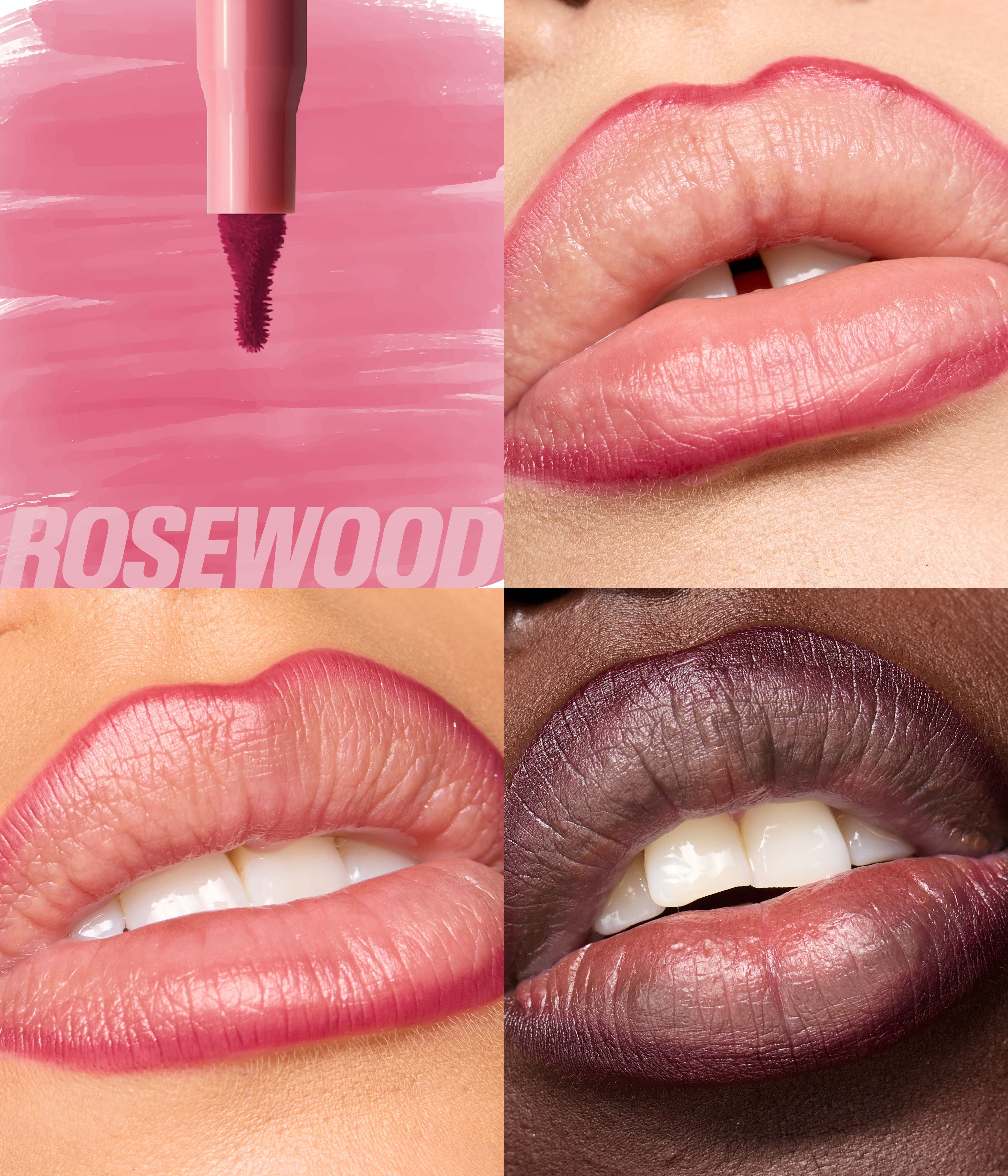 Lip Stain & Oil Kit